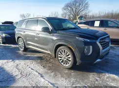 KM8R5DHE6LU047185 2020 HYUNDAI PALISADE