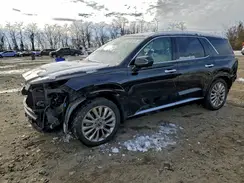 KM8R5DHE6LU117042 2020 HYUNDAI PALISADE
