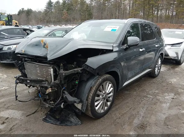 KM8R5DHE6LU128610 2020 HYUNDAI PALISADE - Image 2