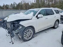 KM8R5DHE7LU092393 2020 HYUNDAI PALISADE