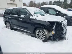 KM8R5DHE7LU117132 2020 HYUNDAI PALISADE