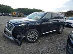 KM8R5DHE7LU128048 2020 HYUNDAI PALISADE