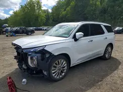 KM8R5DHE7LU142838 2020 HYUNDAI PALISADE