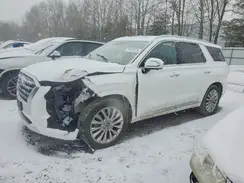 KM8R5DHE8LU155260 2020 HYUNDAI PALISADE