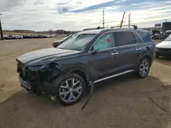 KM8R5DHE8MU206032 2021 HYUNDAI PALISADE