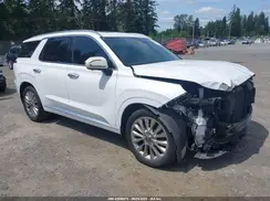 KM8R5DHE9LU074994 2020 HYUNDAI PALISADE