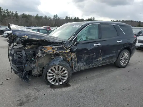 KM8R5DHE9LU111896 2020 HYUNDAI PALISADE - Image 1