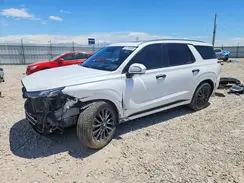 KM8R5DHEXLU044919 2020 HYUNDAI PALISADE