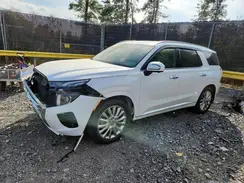 KM8R5DHEXLU155230 2020 HYUNDAI PALISADE