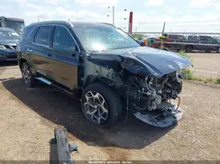 KM8R74HE1MU290768 2021 HYUNDAI PALISADE