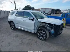 KM8R74HE5MU262729 2021 HYUNDAI PALISADE