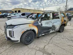 KM8R7DGE0SU848334 2025 HYUNDAI PALISADE
