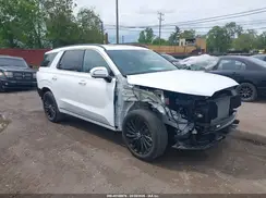 KM8R7DGE0SU927356 2025 HYUNDAI PALISADE
