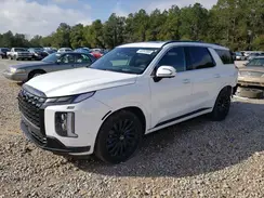 KM8R7DGE1RU690452 2024 HYUNDAI PALISADE