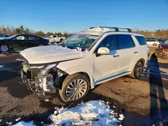KM8R7DGE1RU700798 2024 HYUNDAI PALISADE