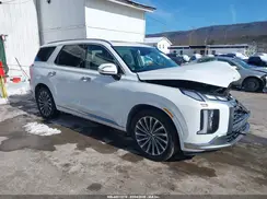 KM8R7DGE1SU926037 2025 HYUNDAI PALISADE