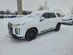 KM8R7DGE1SU946255 2025 HYUNDAI PALISADE