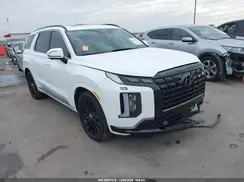 KM8R7DGE1SU953979 2025 HYUNDAI PALISADE