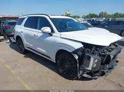 KM8R7DGE2SU881397 2025 HYUNDAI PALISADE