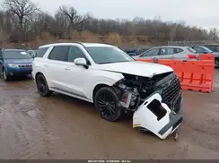 KM8R7DGE2SU906184 2025 HYUNDAI PALISADE