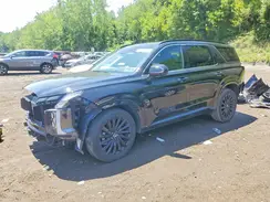KM8R7DGE2SU925978 2025 HYUNDAI PALISADE