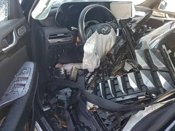 KM8R7DGE3RU668386 2024 HYUNDAI PALISADE - Image 8