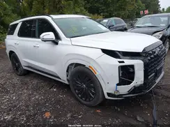 KM8R7DGE3SU883997 2025 HYUNDAI PALISADE