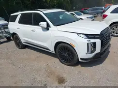 KM8R7DGE3SU920790 2025 HYUNDAI PALISADE