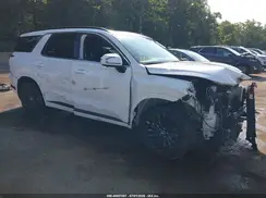 KM8R7DGE3SU924743 2025 HYUNDAI PALISADE