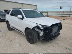 KM8R7DGE3SU927531 2025 HYUNDAI PALISADE