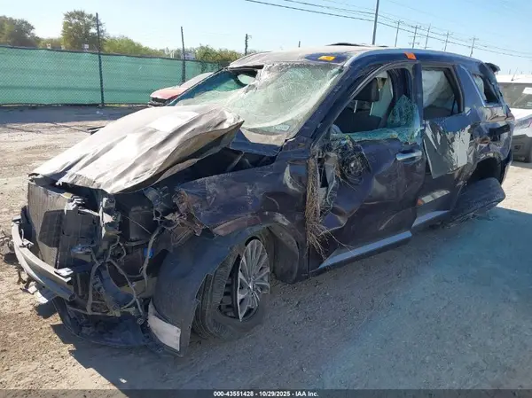 KM8R7DGE5RU745694 2024 HYUNDAI PALISADE - Image 2