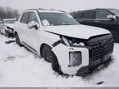 KM8R7DGE5SU813675 2025 HYUNDAI PALISADE