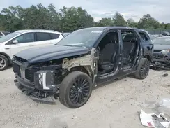 KM8R7DGE5SU816656 2025 HYUNDAI PALISADE