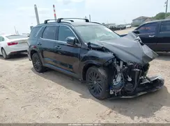 KM8R7DGE5SU841797 2025 HYUNDAI PALISADE