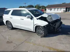 KM8R7DGE5SU854128 2025 HYUNDAI PALISADE