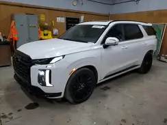 KM8R7DGE6RU706841 2024 HYUNDAI PALISADE
