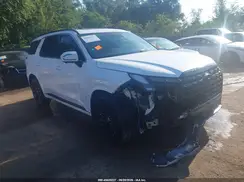 KM8R7DGE6RU761824 2024 HYUNDAI PALISADE