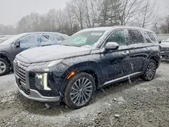 KM8R7DGE6RU768529 2024 HYUNDAI PALISADE