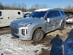 KM8R7DGE6SU811028 2025 HYUNDAI PALISADE