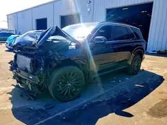 KM8R7DGE6SU853053 2025 HYUNDAI PALISADE