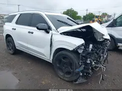 KM8R7DGE7PU541931 2023 HYUNDAI PALISADE