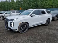 KM8R7DGE7SU915818 2025 HYUNDAI PALISADE