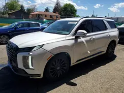 KM8R7DGE8SU877211 2025 HYUNDAI PALISADE