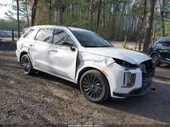 KM8R7DGE8SU909154 2025 HYUNDAI PALISADE