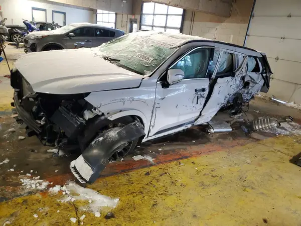 KM8R7DGE9RU746251 2024 HYUNDAI PALISADE - Image 1