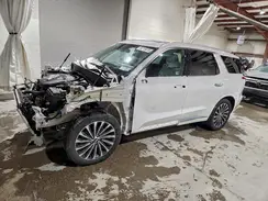 KM8R7DGE9SU837445 2025 HYUNDAI PALISADE