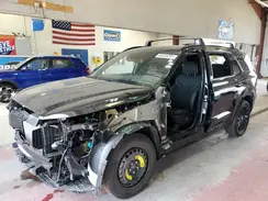 KM8R7DGE9SU906165 2025 HYUNDAI PALISADE