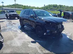 KM8R7DGE9SU906229 2025 HYUNDAI PALISADE