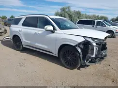 KM8R7DGE9SU942745 2025 HYUNDAI PALISADE