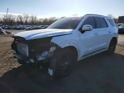KM8R7DGEXRU768520 2024 HYUNDAI PALISADE